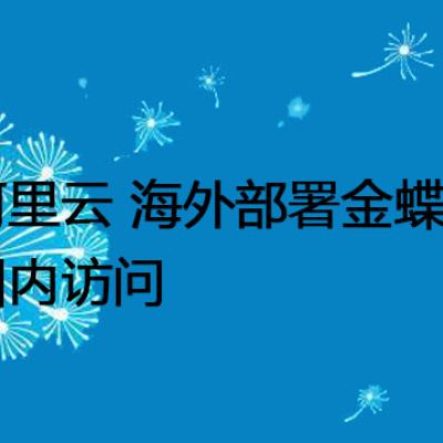 阿里云 海外部署金蝶 国内访问--解决方案//世耕通信全球办公专网专线