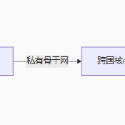 如何彻底解决高丢包导致的输入延迟--解决方案//世耕通信全球办公专网专线