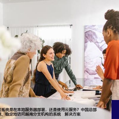 越南分支机构的系统是在本地服务器部署，还是使用云服务？中国总部需要随时、快速、稳定地访问越南分支机构的系统--解决方案//世耕通信全球办公专网专线