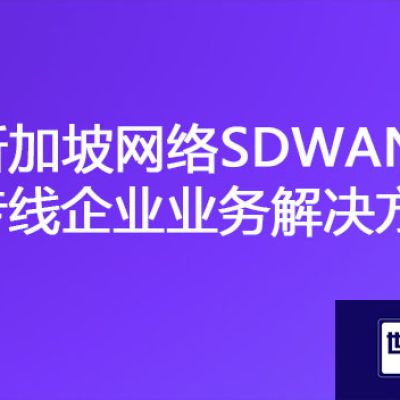 国内到新加坡延迟大网速慢，新加坡网络SDWAN专线企业业务？？？解决方案//世耕通信ERP、OA专网服务商