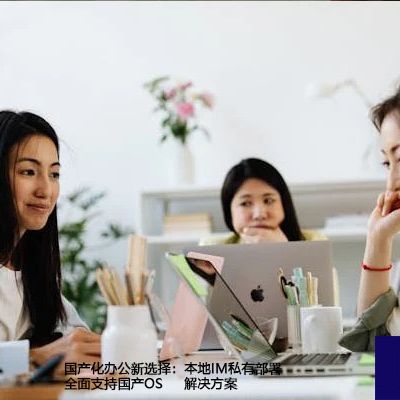 国产化办公新选择：本地IM私有部署全面支持国产OS-解决方案//世耕通信  即时通讯（IM）私有化部署