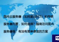 国内云服务器（如阿里云ECS）和传统服务器托管，如何选择？越南访问国内服务器慢，有没有简单便宜的方案？ --解决方案//世耕通信全球办公专网专线