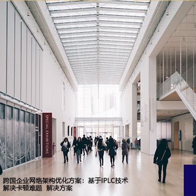 跨国企业网络架构优化方案：基于IPLC技术解决卡顿难题--解决方案//世耕通信全球办公专网专线