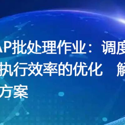 SAP批处理作业：调度与执行效率的优化 --解决方案//世耕通信全球办公专网专线