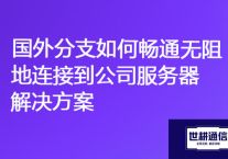 全球连通性：国外分支如何畅通无阻地连接到公司服务器？？？解决方案//世耕通信ERP、OA专网服务商
