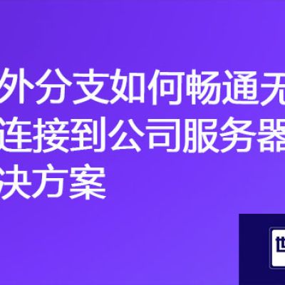 全球连通性：国外分支如何畅通无阻地连接到公司服务器？？？解决方案//世耕通信ERP、OA专网服务商