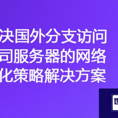 "跨境数据通道：解决国外分支访问公司服务器的网络优化策略"？？？解决方案//世耕通信ERP、OA专网服务商
