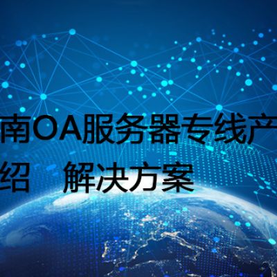 越南OA服务器专线产品介绍-- 解决方案//世耕通信全球ERP、OA办公专网专线