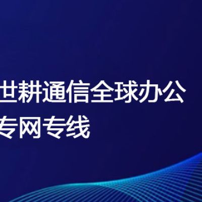 企业Token出海网络专线：Token全生命周期网络管理专家--解决方案//世耕通信全球办公专网专线