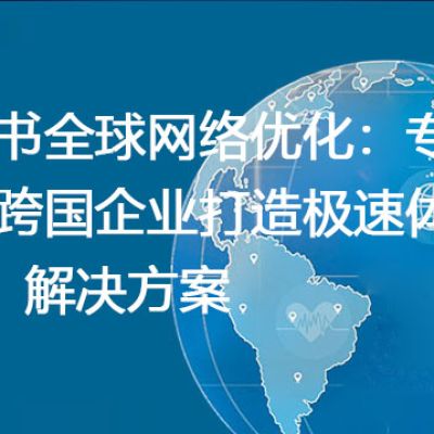 飞书全球网络优化：专为跨国企业打造极速体验 --解决方案//世耕通信全球办公专网专线