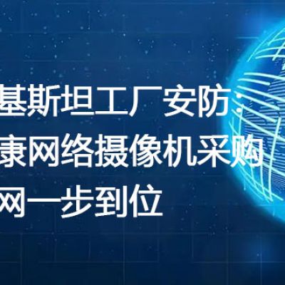 巴基斯坦工厂安防：海康网络摄像机采购组网一步到位---世耕通信全球视频监控解决方案