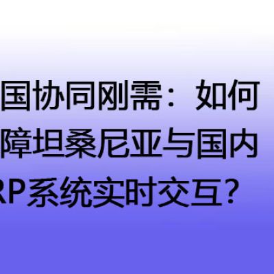 跨国协同刚需：如何保障坦桑尼亚与国内ERP系统实时交互？--解决方案//世耕通信全球ERP、OA办公专网专线