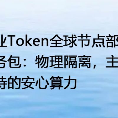 企业Token全球节点部署服务包：物理隔离，主权自持的安心算力--解决方案//世耕通信全球办公专网专线