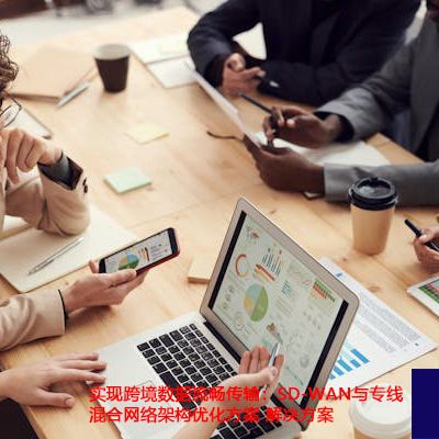 实现跨境数据流畅传输：SD-WAN与专线混合网络架构优化方案？？？解决方案//世耕通信ERP、OA专网服务商