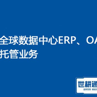 全球访问优化：国外&国内兼顾的服务器部署策略？？？解决方案//世耕通信全球专网服务器 