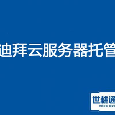 迪拜云服务器托管？？？解决方案//世耕通信全球服务器托管 