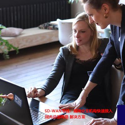 SD-WAN专线：越南分支机构快速接入国内总部网络？？？？？解决方案//世耕通信ERP、OA专网服务商