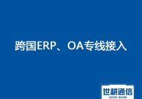 总部和越南ERP、OA、视频会议，解决方案 ？？？？？解决方案//世耕通信ERP、OA专网服务商