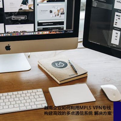 越南企业如何利用MPLS VPN专线构建高效的多点通信系统？？？？？解决方案//世耕通信ERP、OA专网服务商