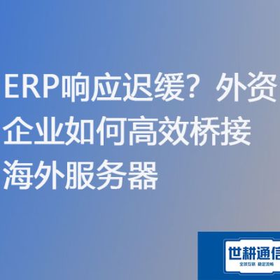 国内外资企业访问海外ERP服务器迟缓 ？？？？？解决方案//世耕通信ERP、OA专网服务商