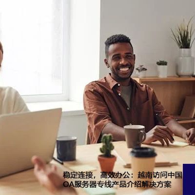稳定连接，高效办公：越南访问中国OA服务器专线产品介绍？？？？？解决方案//世耕通信ERP、OA专网服务商