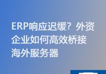 ERP系统跨国运行很卡,ERP系统国内访问太慢 ？？？？？解决方案//世耕通信ERP、OA专网服务商