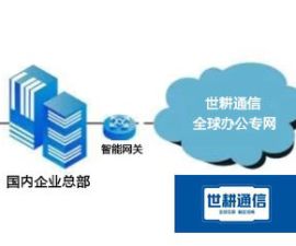 中国移动MPLS VPN国际专线???解决方案//世耕通信全球办公专网