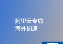 海外项目访问国内阿里云钉钉卡 慢 登录不了？？？？解决方案//世耕通信专网服务商 