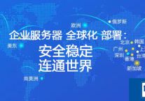 全球专网服务器  国内国外访问快？？？解决方案//世耕通信全球办公专网 