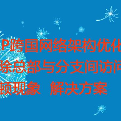  ERP跨国网络架构优化：消除总部与分支间访问慢、卡顿现象？？？解决方案//世耕通信全球ERP、OA办公专网