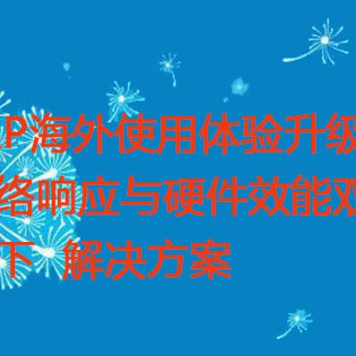 ERP海外使用体验升级：网络响应与硬件效能双管齐下？？？解决方案//世耕通信全球ERP、OA办公专网