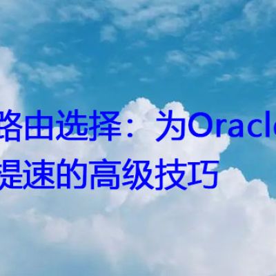 智能路由选择：为Oracle资料下载提速的高级技巧？？？解决方案//世耕通信全球办公专网专线