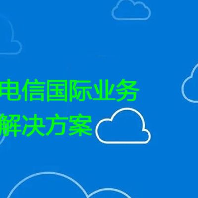 电信国际业务？？？解决方案//世耕通信全球办公专网专线