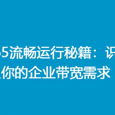 O365流畅运行秘籍：识别并满足你的企业带宽需求？？？解决方案//世耕通信全球办公专网专线