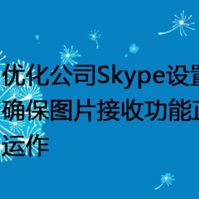 优化公司Skype设置：确保图片接收功能正常运作？？？解决方案//世耕通信全球办公Teams专网