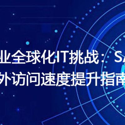企业全球化IT挑战：SAP海外访问速度提升指南？？？解决方案//世耕通信全球办公专网专线