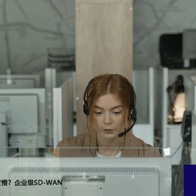 跨国OA访问速度慢？企业级SD-WAN部署案例分析？解决方案//世耕通信全球ERP、OA办公专网专线