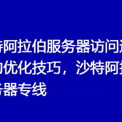 沙特阿拉伯服务器访问速度慢的优化技巧，沙特阿拉伯服务器专线？解决方案//世耕通信全球办公专网专线