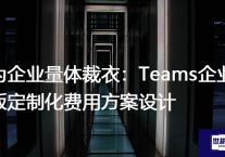 为企业量体裁衣：Teams企业版定制化费用方案设计？？？解决方案//世耕通信全球办公Teams专网
