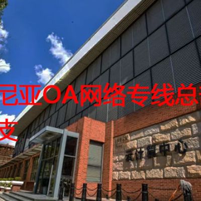 罗马尼亚OA网络专线总部和分支？？？解决方案//世耕通信全球办公专网专线