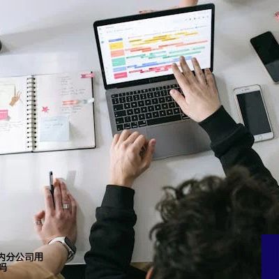 总部在国外 国内分公司用VPN进去 可以吗  ？？？解决方案//世耕通信全球办公专网专线