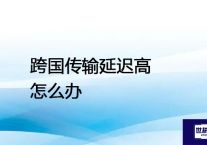 德国工厂到中国数据中心的延迟从230ms降至89ms --解决方案//世耕通信全球办公专网专线