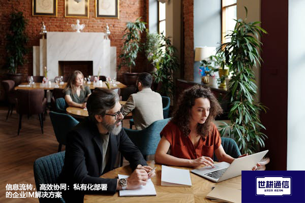 信息流转，高效协同：私有化部署的企业IM解决方案 --解决方案//世耕通信  即时通讯（IM）私有化部署