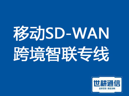 移动SD-WAN跨境智联专线