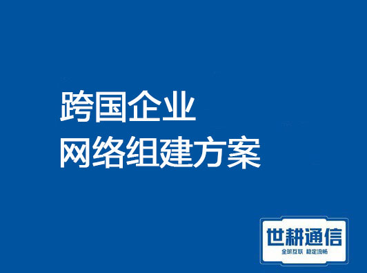 跨国企业网络组建方案？？？解决方案//世耕通信全球办公专网​