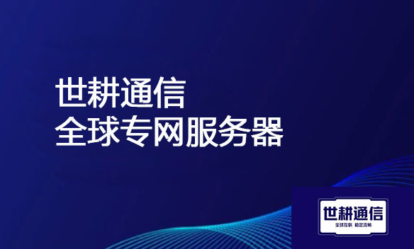 全球专网服务器  国内国外访问快？？？解决方案//世耕通信全球办公专网 