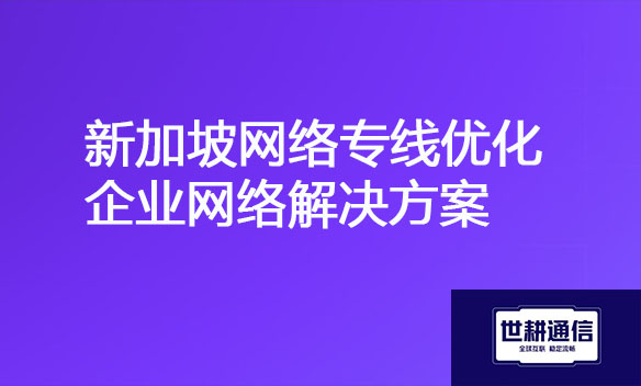 新加坡网络专线优化企业网络解决方案.jpg