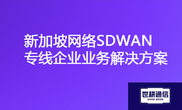 新加坡网络SDWAN专线企业业务解决方案.jpg