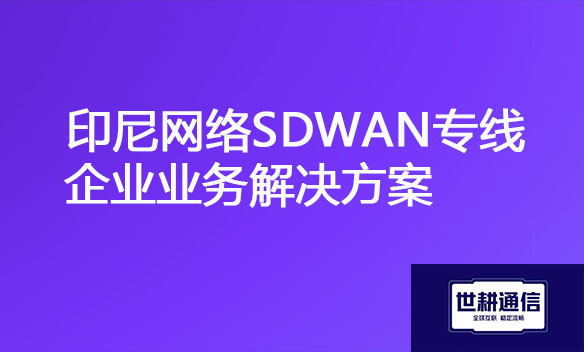印尼网络SDWAN专线企业业务解决方案.jpg