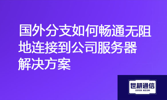 国外分支如何畅通无阻地连接到公司服务器解决方案.jpg